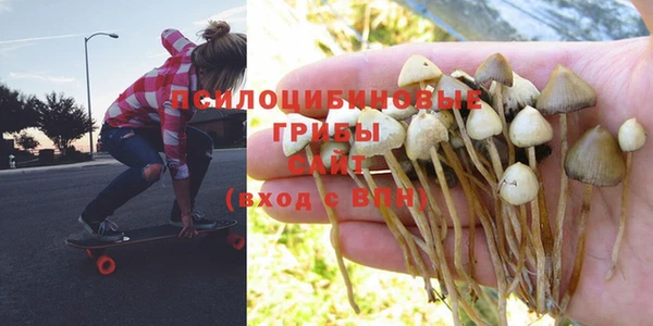 ПСИЛОЦИБИНОВЫЕ ГРИБЫ Балахна