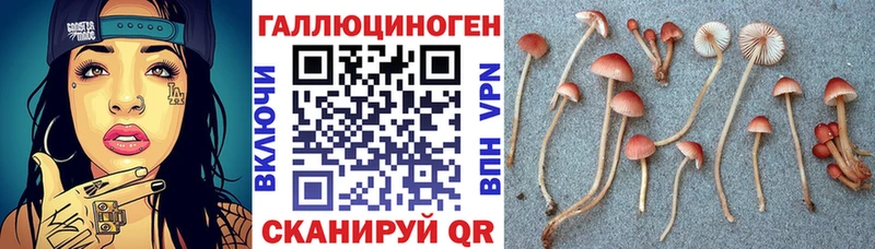 Галлюциногенные грибы ЛСД  Балтийск 
